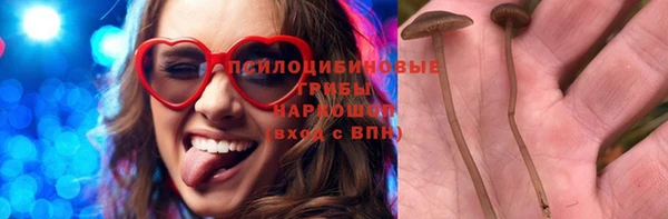 Альфа ПВП Алзамай